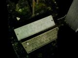 image of grave number 384234